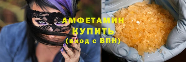 индика Богданович