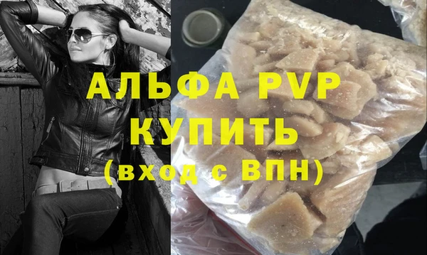 индика Богданович